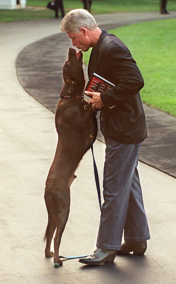Экс-главу США Билла Клинтона встречала его верная собака Бадди. - Sputnik Таджикистан