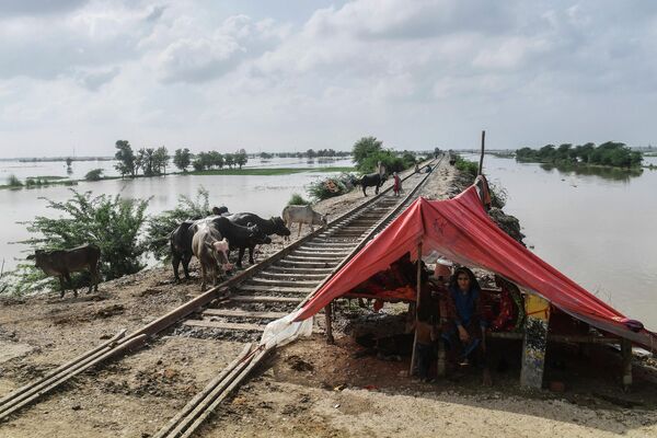Ливни и вышедшие из берегов реки разрушили почти 3,5 тыс. км дорог и около 150 мостов.  . - Sputnik Таджикистан