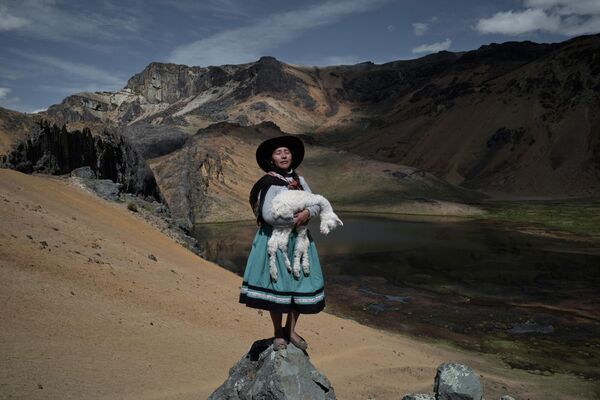 Работа фотографа из Перу Алессандро Чинкве &quot;Альпакерос&quot;. &quot;Моя планета&quot;, серии, 1-е место. - Sputnik Таджикистан