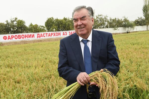 Рахмон во время посещения одной из таджикских ферм. - Sputnik Таджикистан