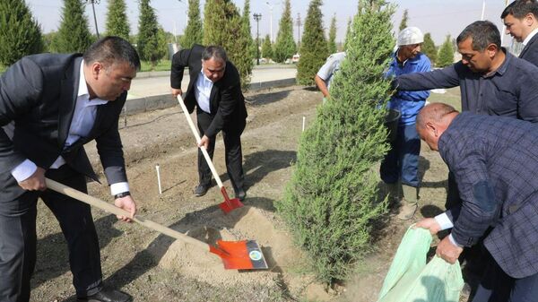 Эмомали Рахмон сажает деревья в Согдийской области - Sputnik Таджикистан