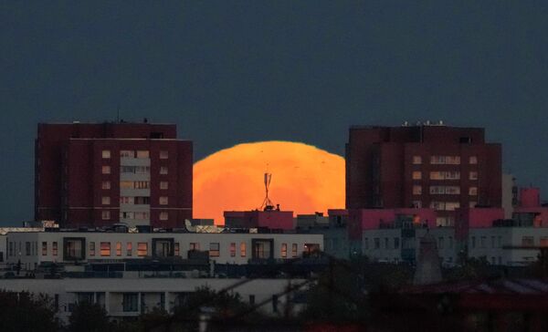 Луна будет казаться полной несколько дней, поэтому у жителей разных частей света будет время, чтобы полюбоваться ей. - Sputnik Таджикистан