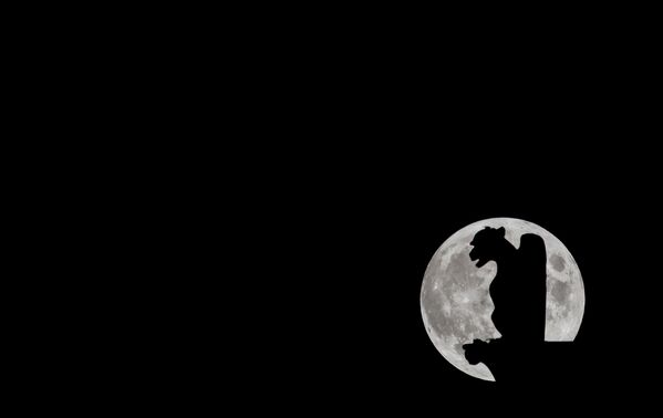 Специалисты уточняют, что в эти дни можно увидеть сближение полной Луны и планеты Юпитер. Люди с отличным зрением сумеют разглядеть и его крупнейшие спутники: Ио, Европу, Ганимед и Каллисто. - Sputnik Таджикистан