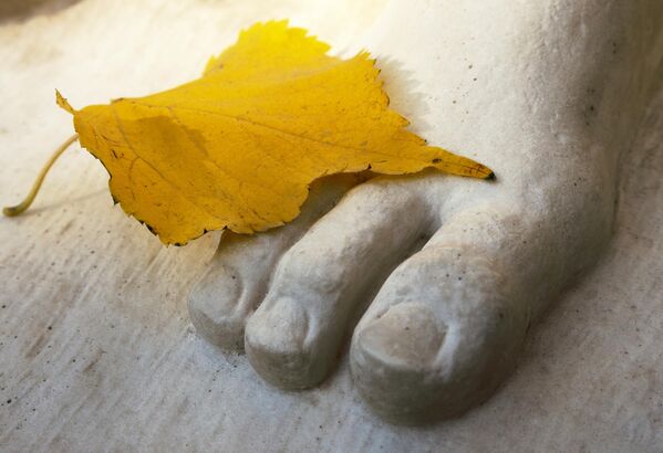 Осенний лист прикрыл каменную ногу статуи в Летнем саду в Санкт-Петербурге. - Sputnik Таджикистан
