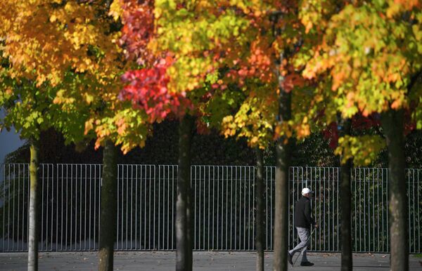 Прохожий среди осенних деревьев в берлинском районе Тиргартен, Германия. - Sputnik Таджикистан