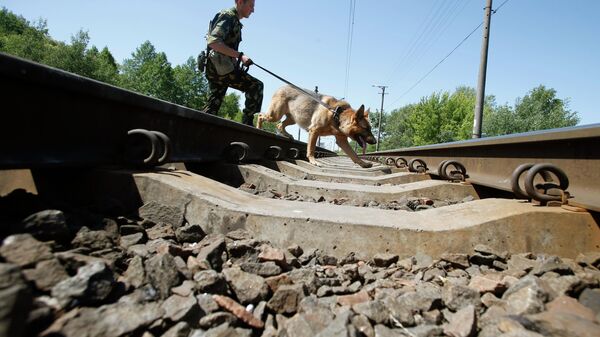 Пограничник с собакой - Sputnik Таджикистан