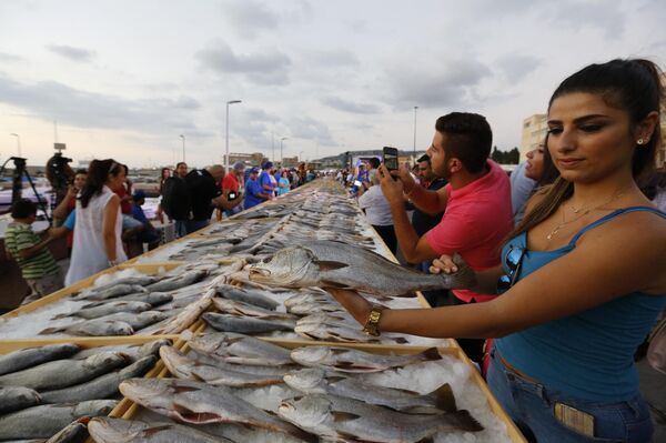 Представители ливанской Ассоциации торговцев побили мировой рекорд Гиннесса по крупнейшей выставке морепродуктов в Батруне. - Sputnik Таджикистан