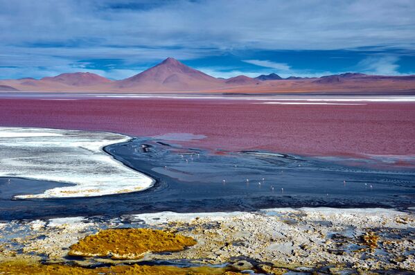 Лагуна-Колорада - минеральное озеро, расположенное в национальном заповеднике в юго-западной части Боливии недалеко от границы с Чили. Красно-бурый цвет воды обусловлен осадочными породами, а также пигментацией водорослей. - Sputnik Таджикистан