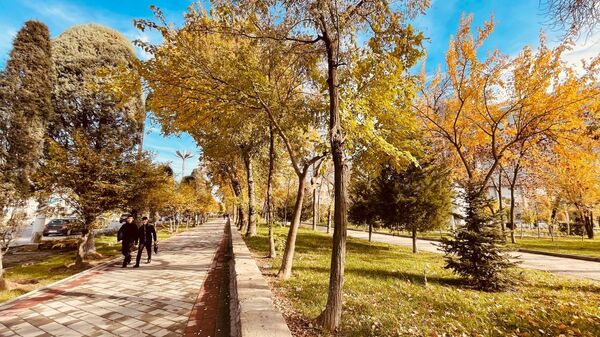 Осень в городе Душанбе - Sputnik Таджикистан