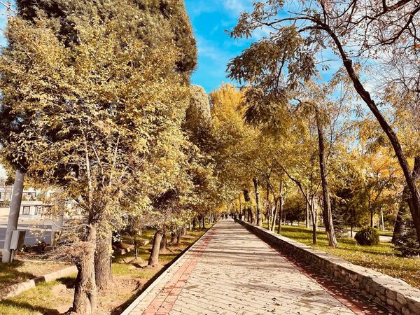 Аллеи и дороги Душанбе сама природа украсила ковром из осенней листвы. - Sputnik Таджикистан