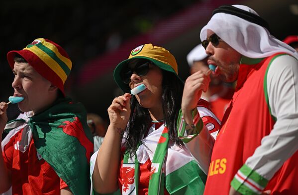 Болельщики Уэльса перед началом матча группового этапа чемпионата мира по футболу между сборными Уэльса и Ирана - Sputnik Таджикистан
