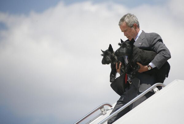 Джордж Буш, прибывая на базу ВВС США, выносит на руках самое дорогое - семейных любимцев Барни и Мисс Бизли. - Sputnik Таджикистан
