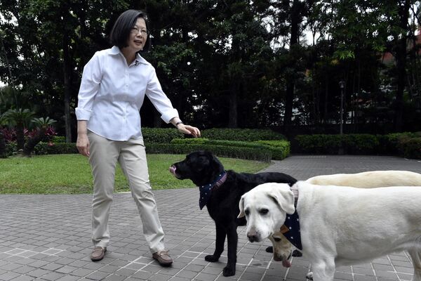 Президент Тайваня Цай Иньвэнь с тремя вышедшими на пенсию собаками-поводырями. - Sputnik Таджикистан
