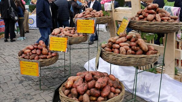 В Душанбе впервые прошел фестиваль картофеля - Sputnik Таджикистан