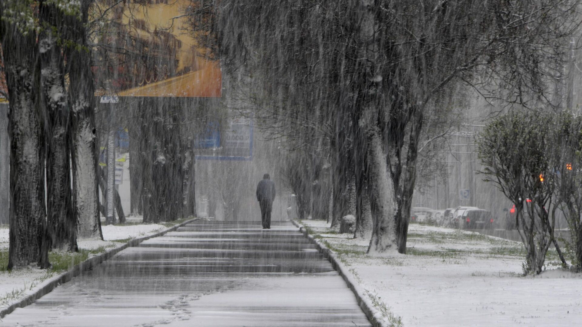 Снегопад в городе - Sputnik Таджикистан, 1920, 02.12.2022