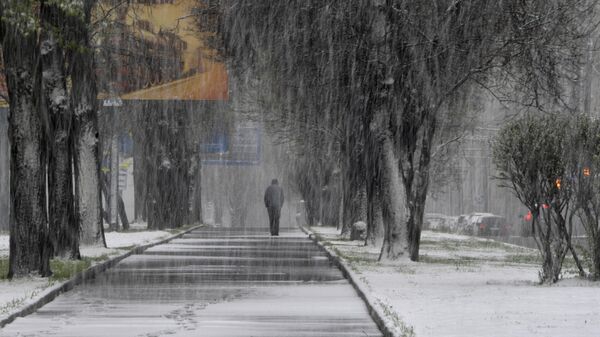 Снегопад в городе - Sputnik Таджикистан