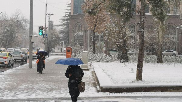 Первый снег в Душанбе. 5 декабря 2022 год - Sputnik Тоҷикистон