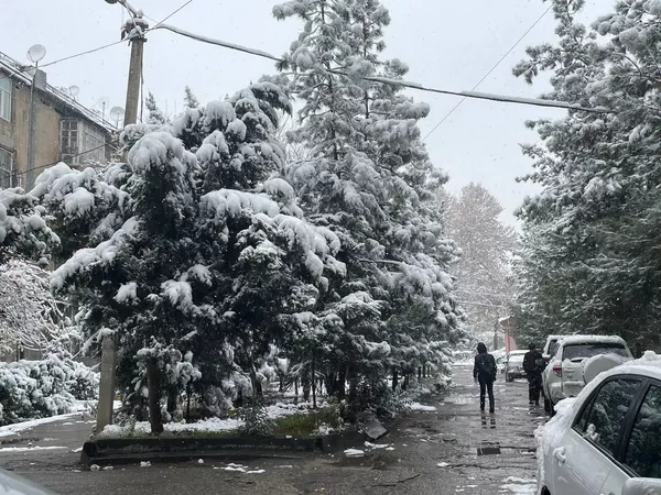 Первый снег в Душанбе Первый снег в Душанбе