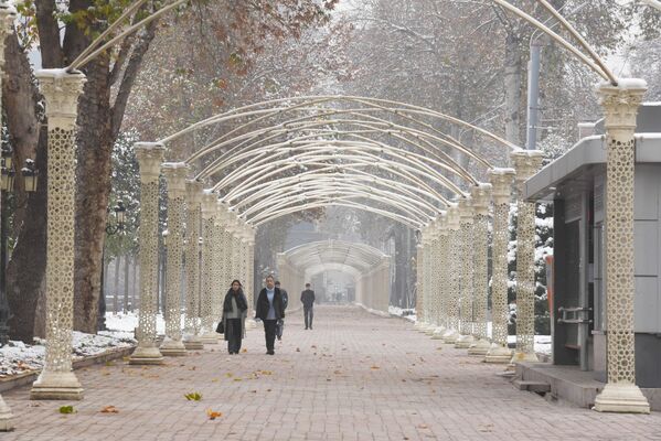 Погода в этом месяце несет жителям Душанбе новогоднее настроение раньше срока. - Sputnik Таджикистан