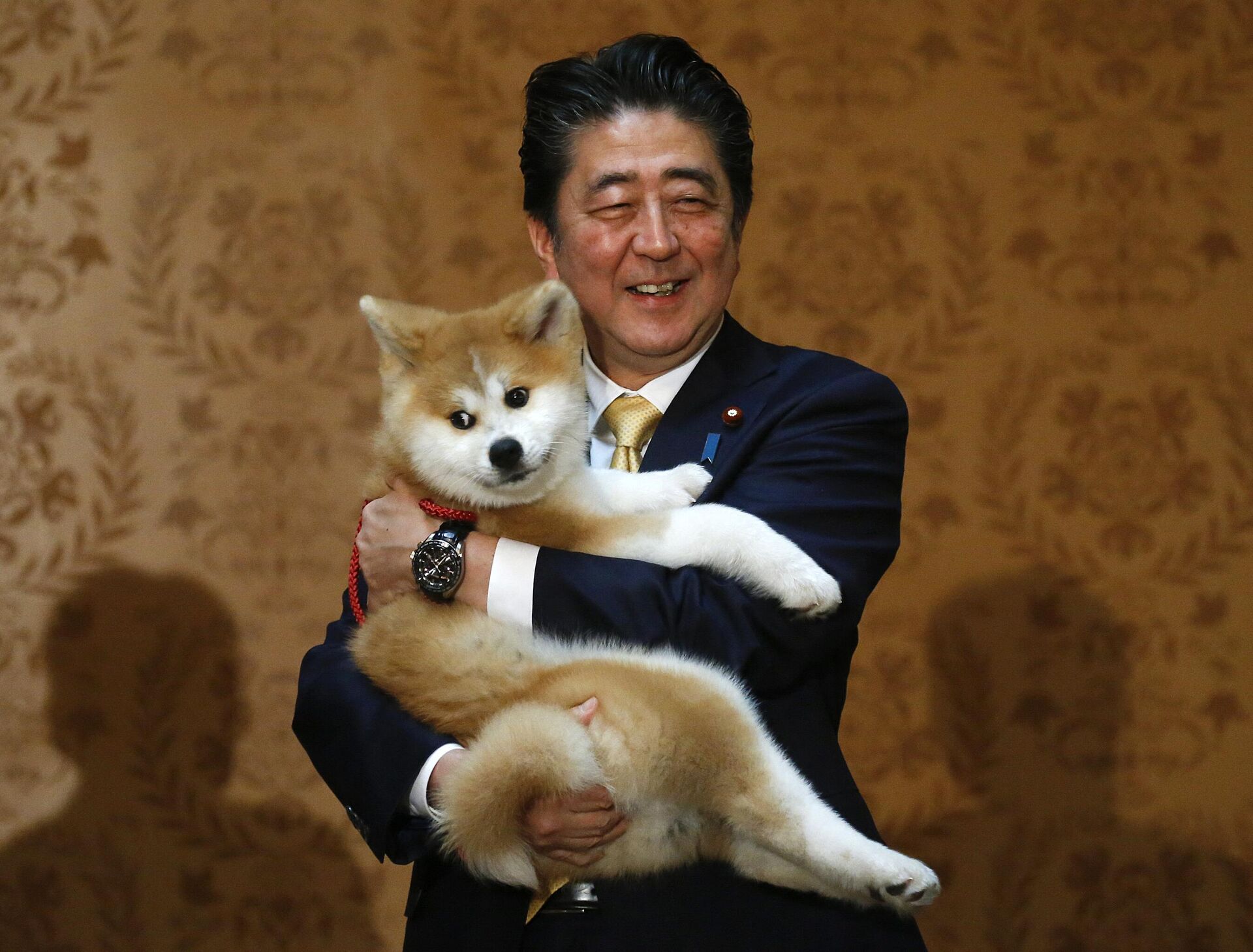 Премьер-министр Японии Синдзо Абэ держит на руках щенка акита-ину по кличке Масару - Sputnik Таджикистан, 1920, 29.12.2022