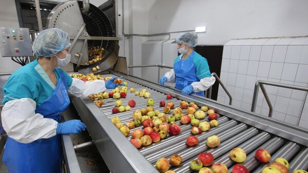 Сортировка яблок на линии по производству яблочного пюре. архивное фото - Sputnik Таджикистан
