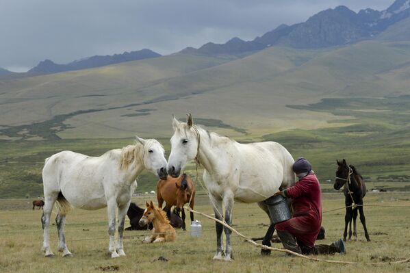 По соседству с Таджикистаном располагается Кыргызстан. В стране расположена другая горная достопримечательность - Тянь-шаньские горы, на высоте 2,5 тыс. м над уровнем моря. - Sputnik Таджикистан