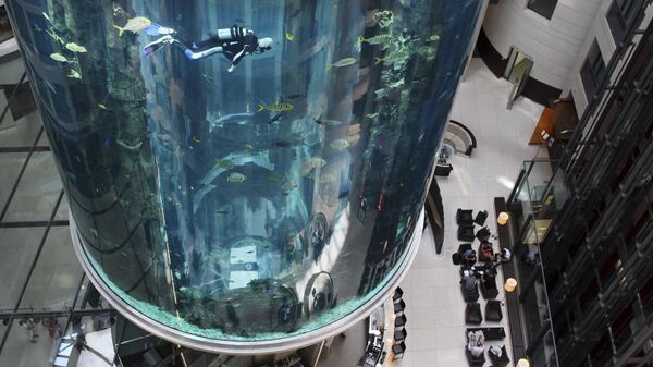 В Берлине лопнул огромный аквариум с 1500 рыбами - Sputnik Таджикистан