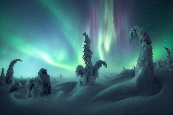 Чудесный снимок был сделан на севере России фотографом Нико Ринальди. Он назвал его &quot;Под северным небом&quot;. - Sputnik Таджикистан