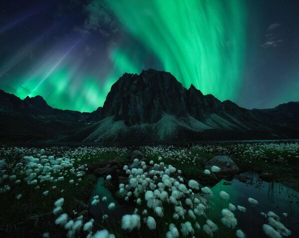 Снимок &quot;Под северным небом&quot; автор Рэйчел Джонс Росс сделала уже в Норвегии. - Sputnik Таджикистан