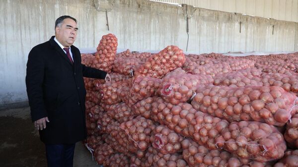 Глава Согдийской области Раджаббой Ахмадзода и 50 тонн лука - Sputnik Таджикистан
