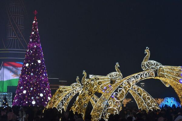 Новогодняя культурная программа Душанбе также прошла во всех 4 районах столицы. - Sputnik Таджикистан