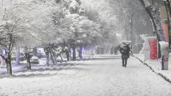 Снегопад в Душанбе - Sputnik Тоҷикистон