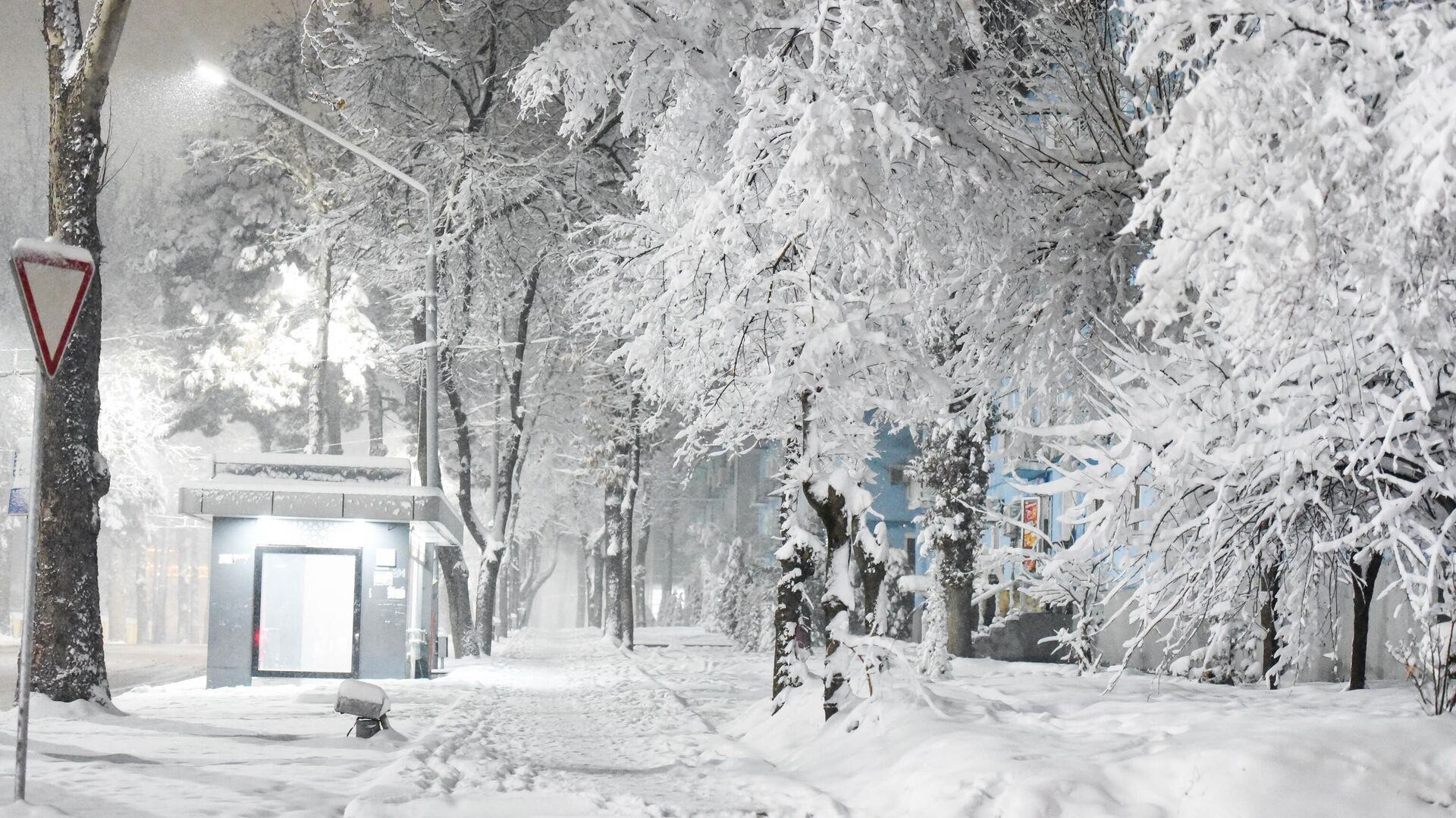 Снегопад в Душанбе - Sputnik Таджикистан, 1920, 11.01.2023