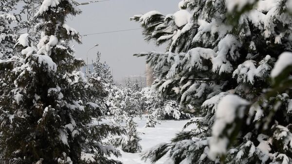  Настоящая зимняя сказка: Душанбе укутан снегом
 - Sputnik Таджикистан