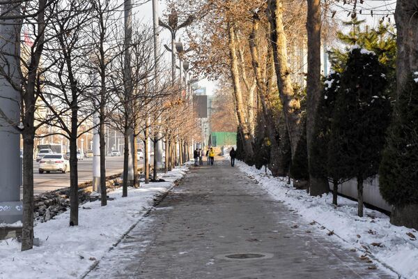 Биологи озабочены, как защитить деревья и другие посадки от мороза. - Sputnik Таджикистан