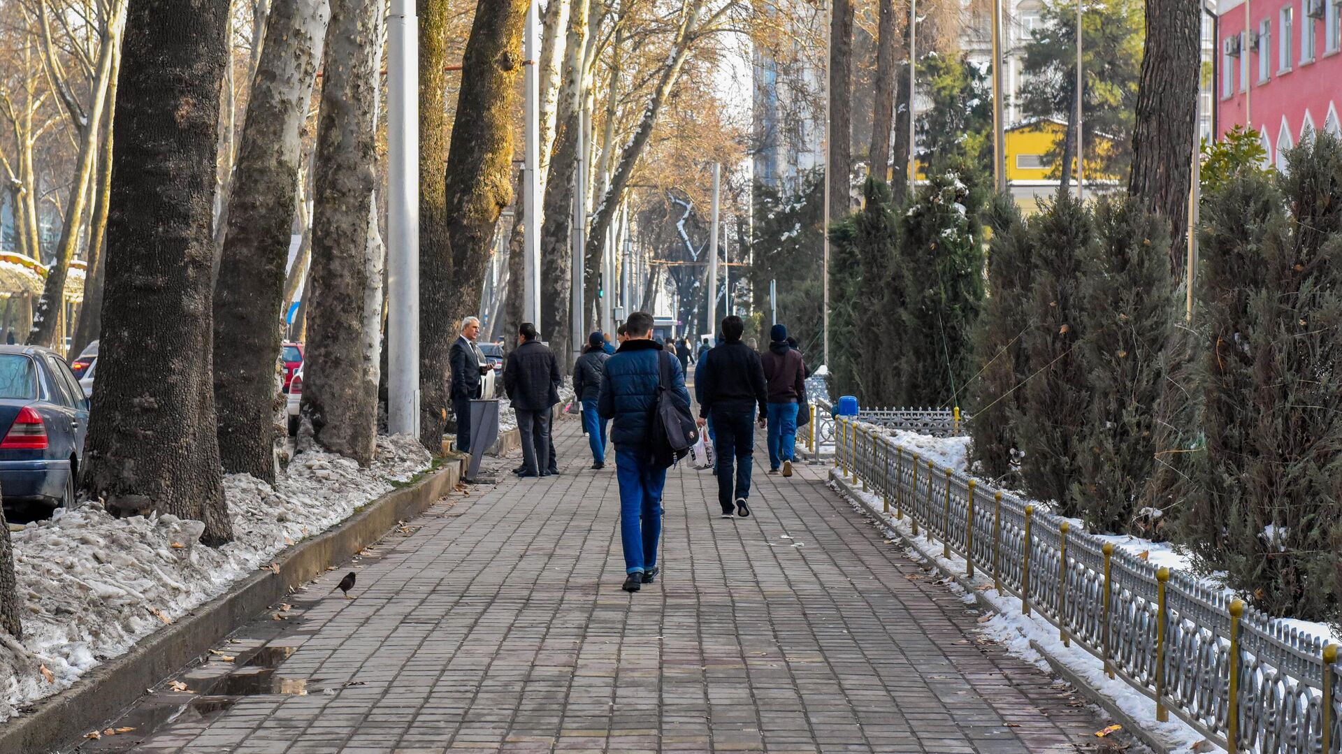 Улица в городе Душанбе зимой - Sputnik Тоҷикистон, 1920, 29.01.2023