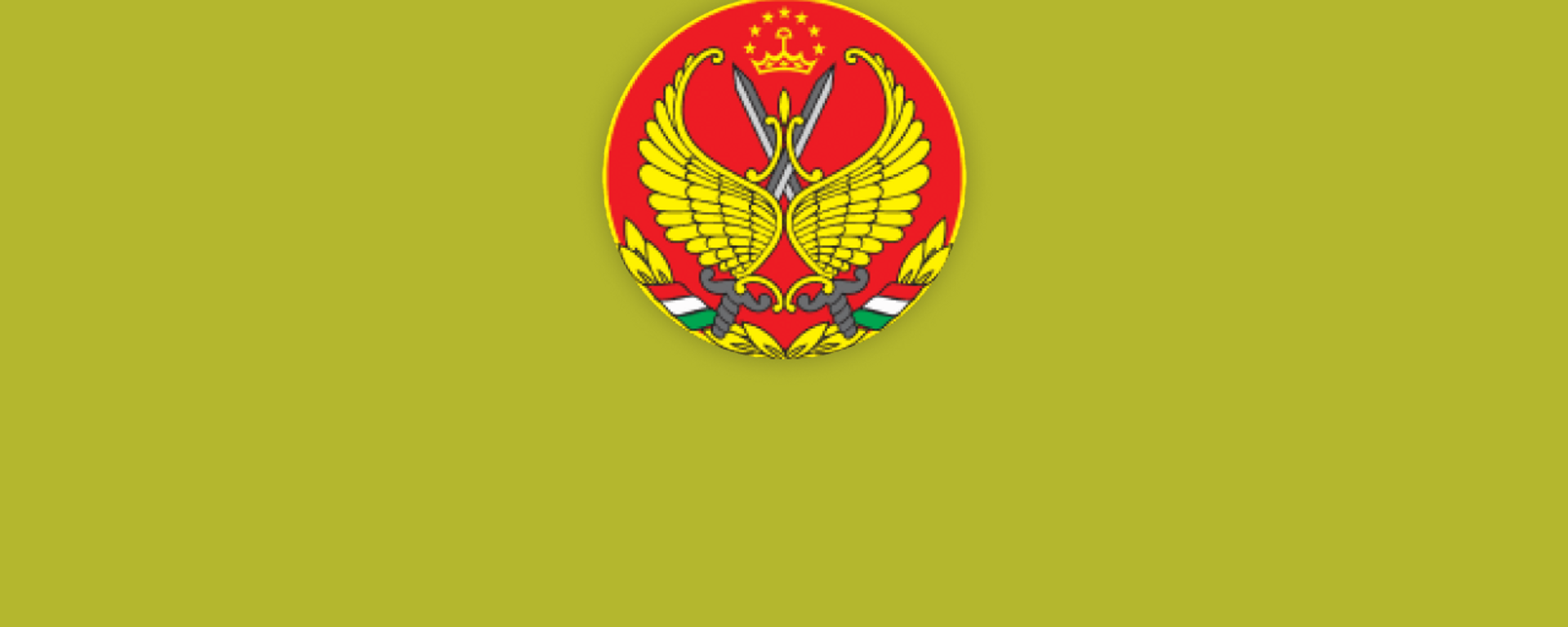 Военная мощь Таджикистана в цифрах - Sputnik Таджикистан, 1920, 11.01.2024