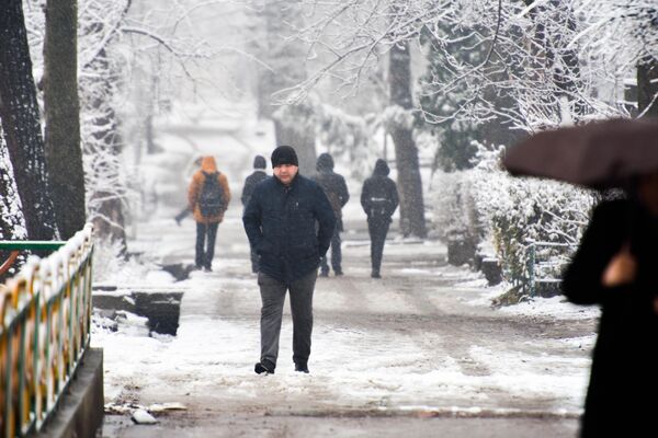 Дважды за год сильные снегопады в Душанбе - большая редкость. - Sputnik Таджикистан