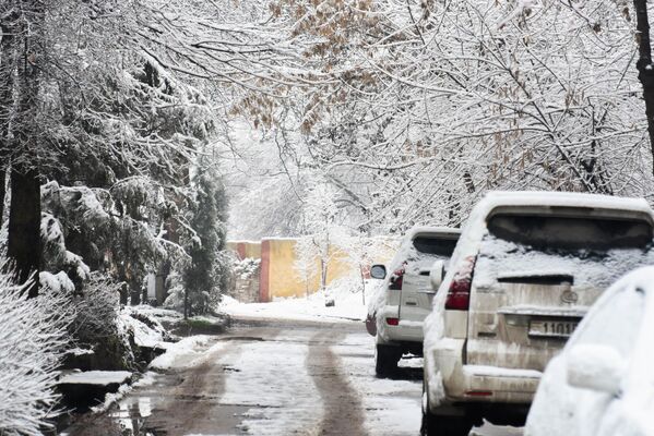 Для жителей столицы любой снег - практически событие, но не зимой в 2023 году. - Sputnik Таджикистан