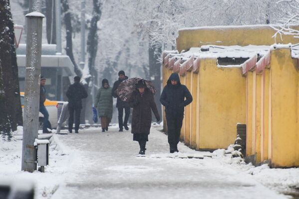 Не самые сильные холода - всего -1°C - не спасли от снежных осадков. - Sputnik Таджикистан