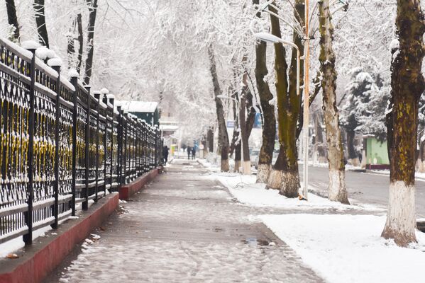Стоит только один раз увидеть привычные улочки в снежных нарядах. - Sputnik Таджикистан