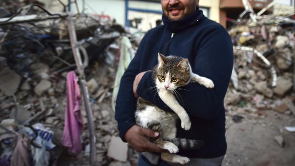 Мужчина держит на руках свою кошку, спасенную из рухнувшего здания, Турция - Sputnik Таджикистан
