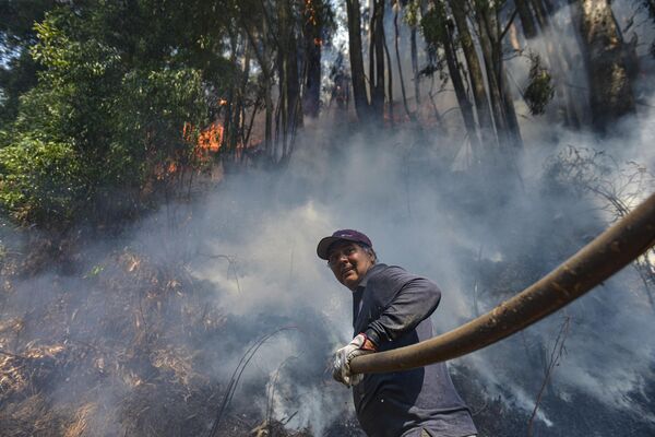 Волонтер тушит пожар в Эль-Патагуале, Чили. - Sputnik Таджикистан