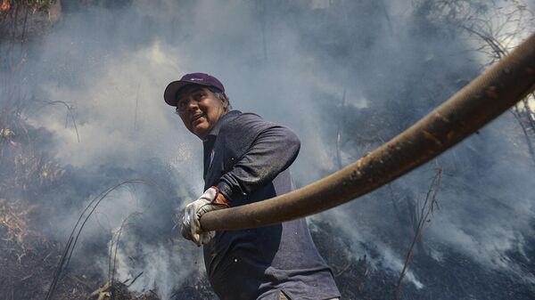 Волонтер тушит лесной пожар в Эль-Патагуале, Чили - Sputnik Таджикистан