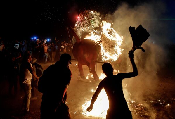 За время фестиваля по городским улицам могут проехать сотни таких пламенных быков. - Sputnik Таджикистан