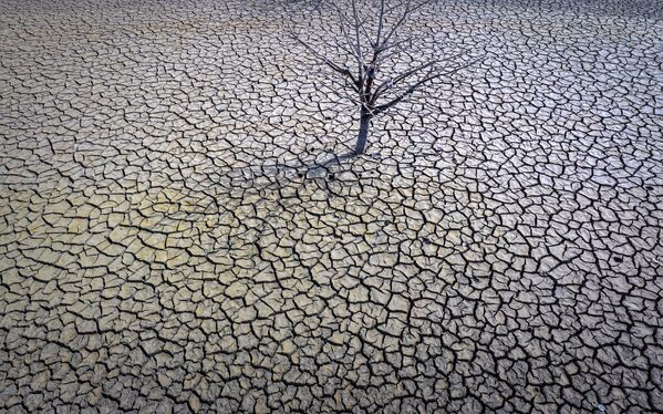 Потрескавшаяся земля водохранилища Сау, на севере от Барселоны, Испания. - Sputnik Таджикистан