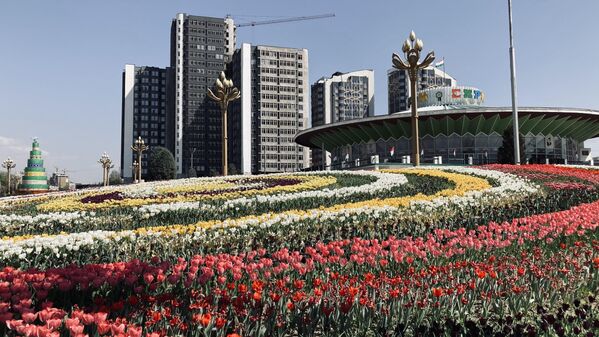 В прошлом среди таджиков ежегодно отмечался праздник цветения тюльпанов.  - Sputnik Таджикистан