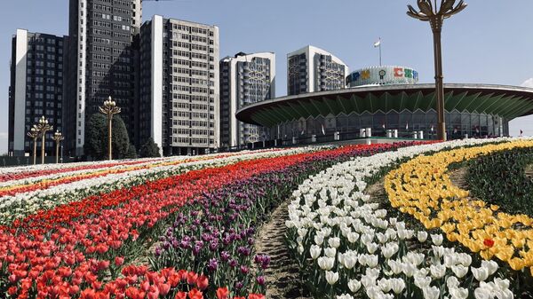 Цветы в городе Душанбе у цирка - Sputnik Таджикистан