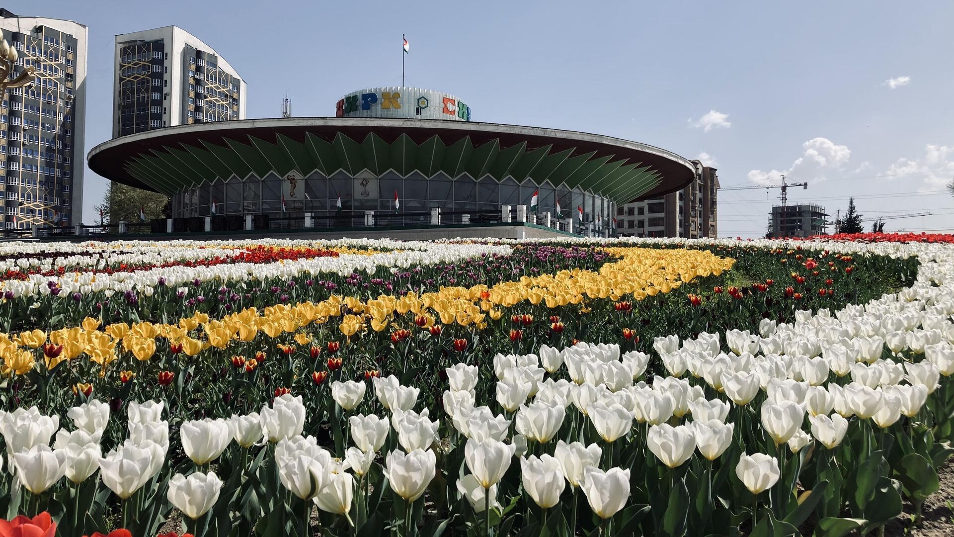 В Душанбе стартовала промышленная выставка TajBILD