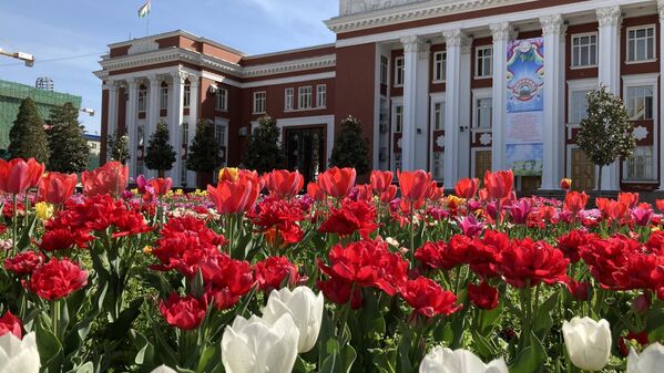 Выигравших в &quot;Празднике тюльпанов&quot; определят члены республиканской комиссии. - Sputnik Таджикистан
